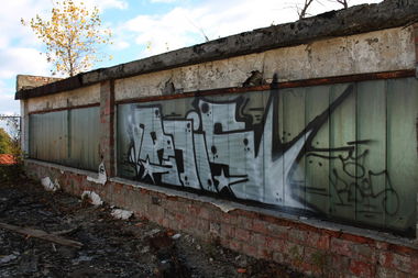 Graffiti Bombing - Photo by Rois