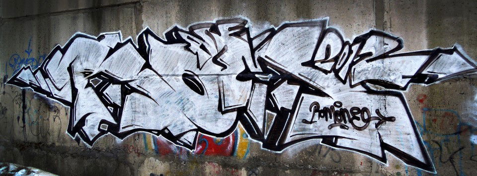 Graffiti Bombing in Vladivostok - Photo by Rom - ARF (2012)