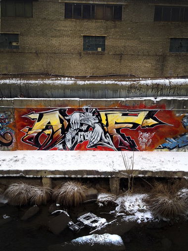 Graffiti Wall in Vladivostok - Photo by Rom