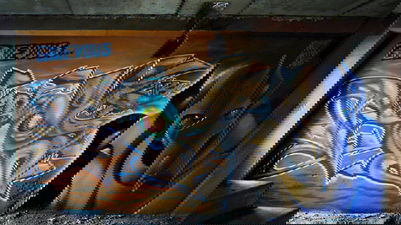 Graffiti Wall in Vladivostok - Photo by Rom - Arf (2014)