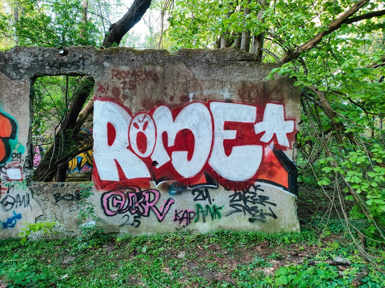 Graffiti Wall in Polska - Photo by RomekOne