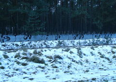 Photo #167097 by faryzeusz