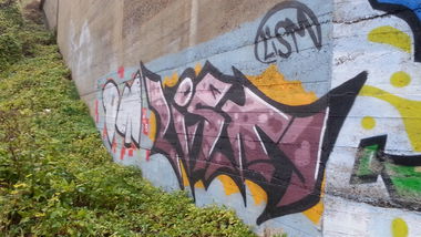 Graffiti Wall in Salzgitter - Photo by Ros41 - Lism, Dm (2012)
