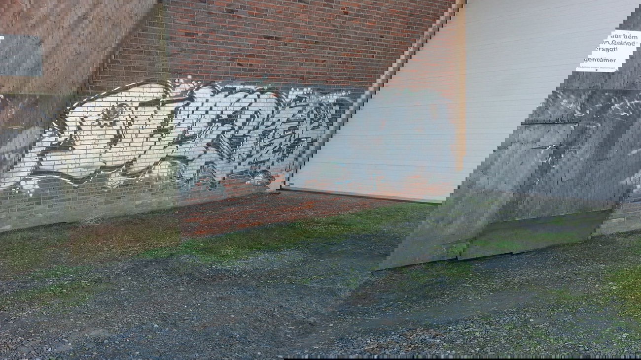 Graffiti Bombing - Photo by Ros41 - Out, n, spray