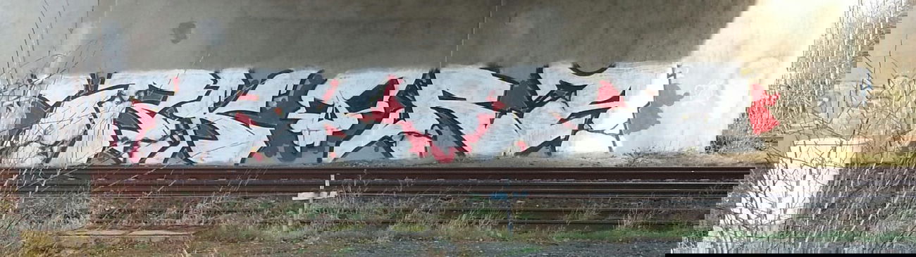 Graffiti Bombing - Photo by Ros41 - Irk, Ra (2011)