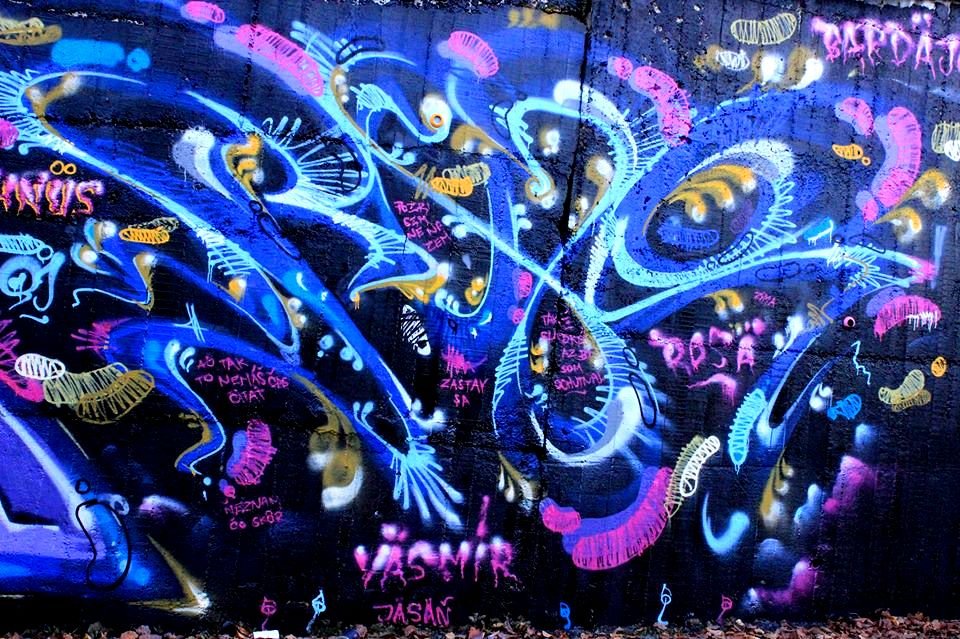 Graffiti Wall - Photo by RosErino - ROSE, WLG, MURAL (2014)