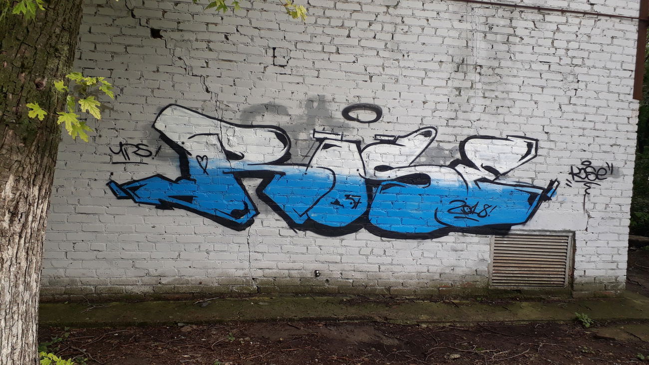 Graffiti Wall - Photo by Rose37 - _rose_37_