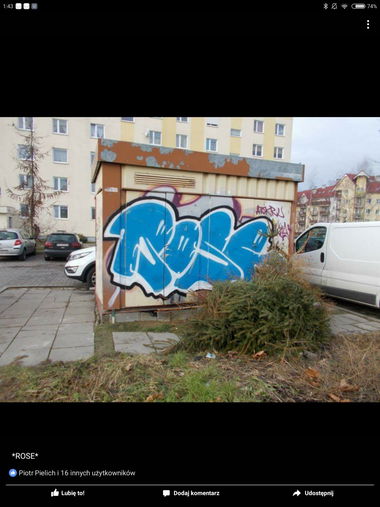 Graffiti Bombing - Photo by Roseone