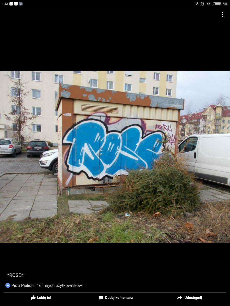 Graffiti Bombing - Photo by Roseone
