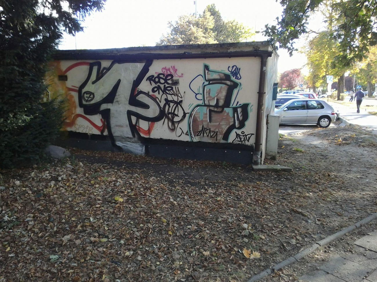 Graffiti Bombing - Photo by Roseone - 7 (2016)