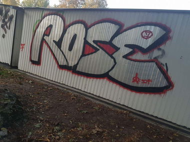 Graffiti Bombing - Photo by Roseone (2016)