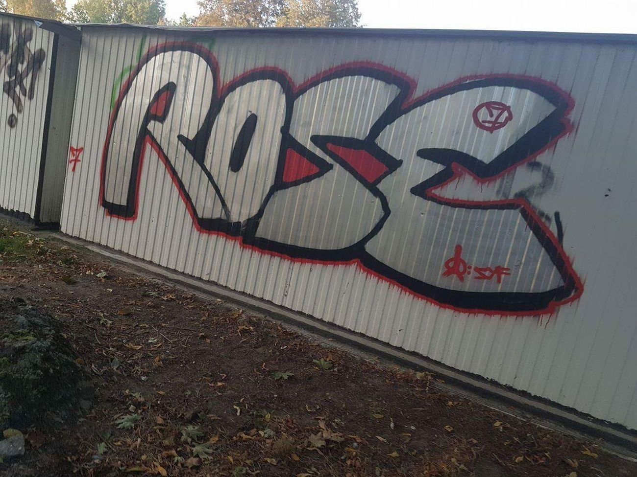 Graffiti Bombing - Photo by Roseone (2016)