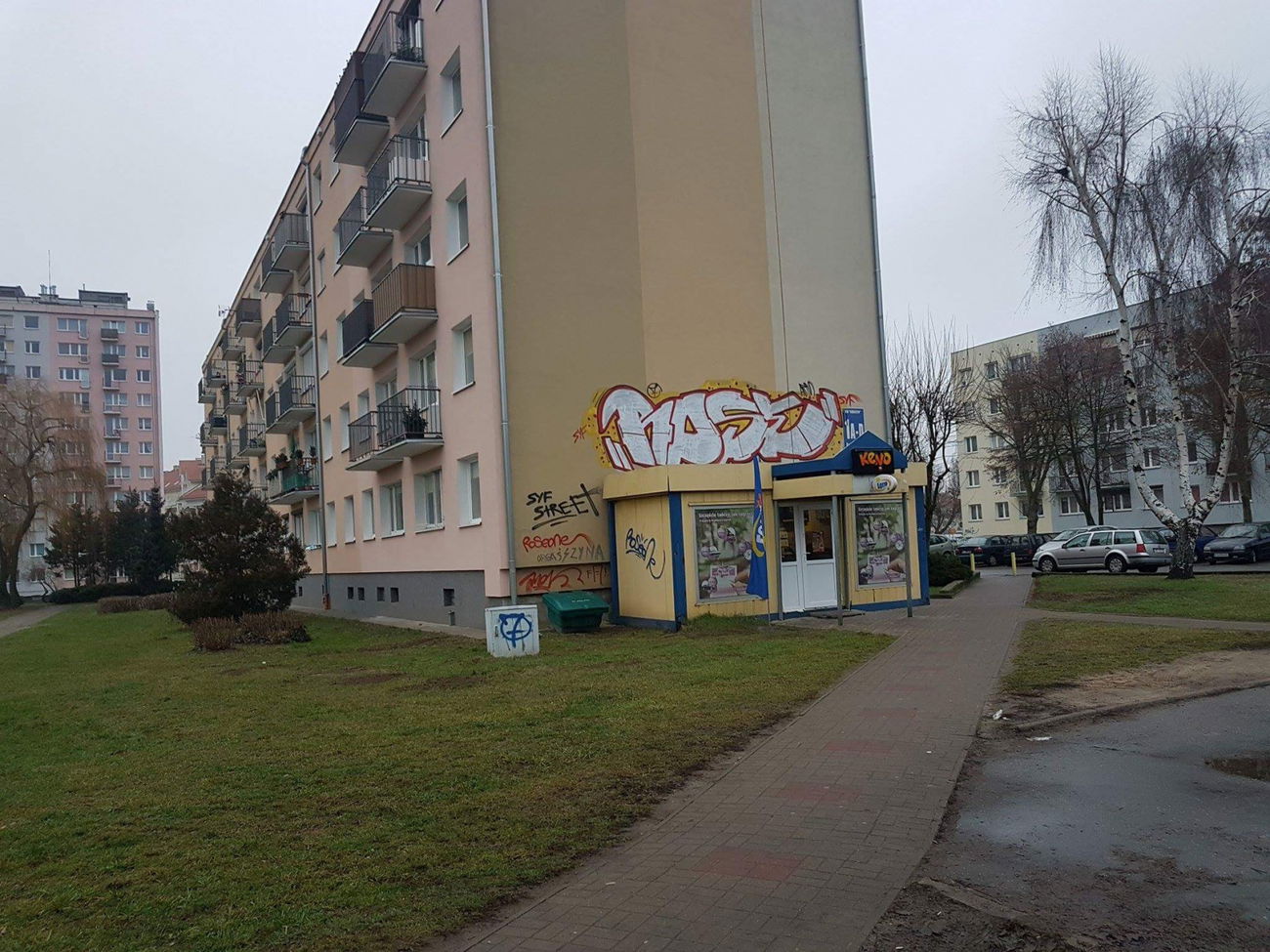 Graffiti Bombing in Gorzów wielkopolski - Photo by Roseone (2016)