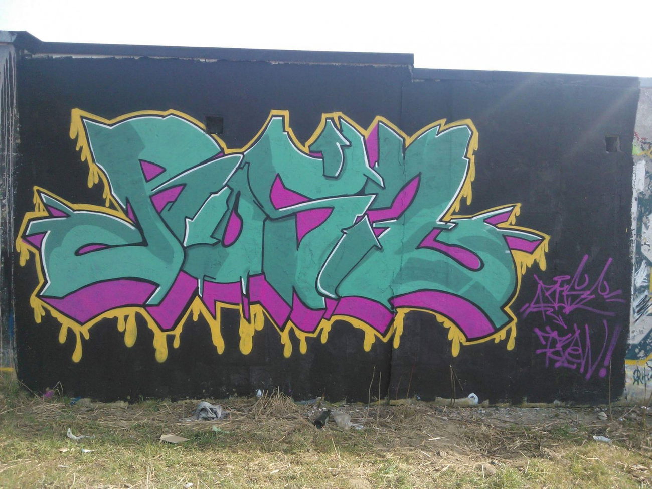 Graffiti Wall in Gorzów wielkopolski - Photo by Roseone (2015)