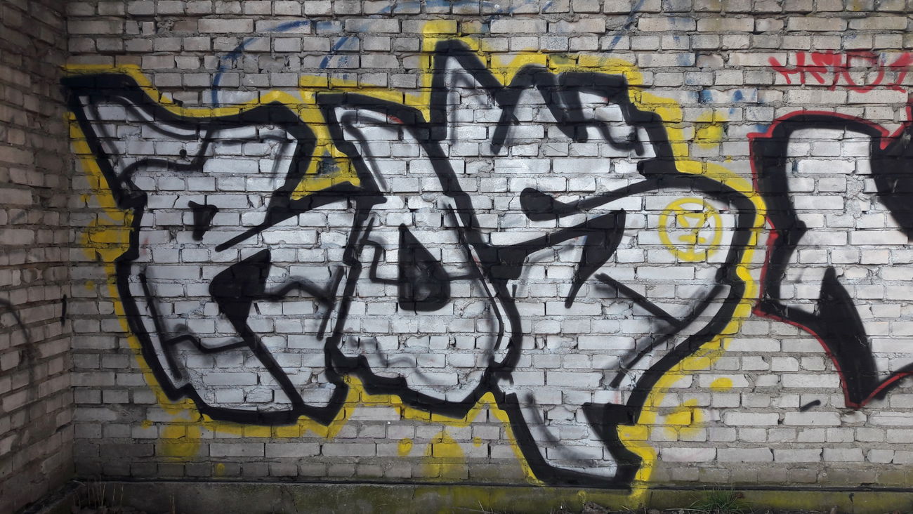 Graffiti Bombing - Photo by Roseone (2017)