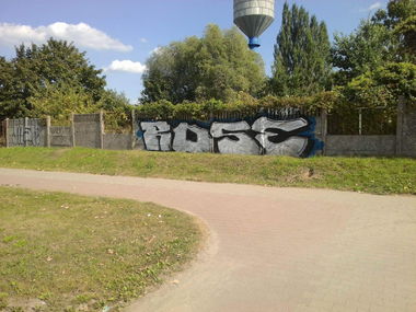 Graffiti Bombing in Gorzów wielkopolski - Photo by Roseone (2016)