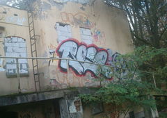 Photo #200149 by kwiatXwhoyou