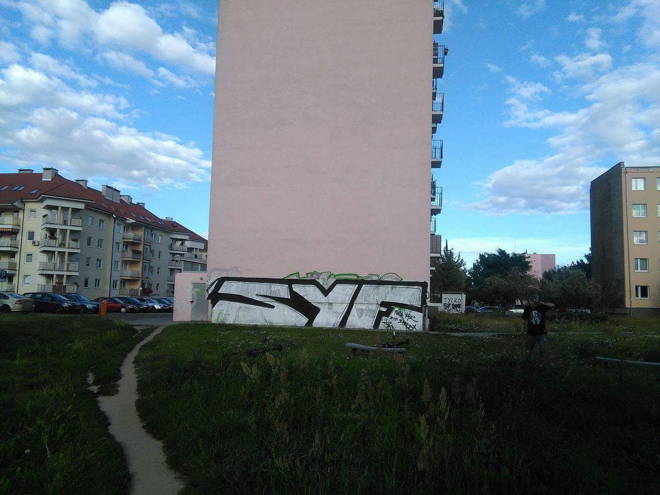 Graffiti Bombing in Gorzów wielkopolski  - Photo by Roseone (2016)