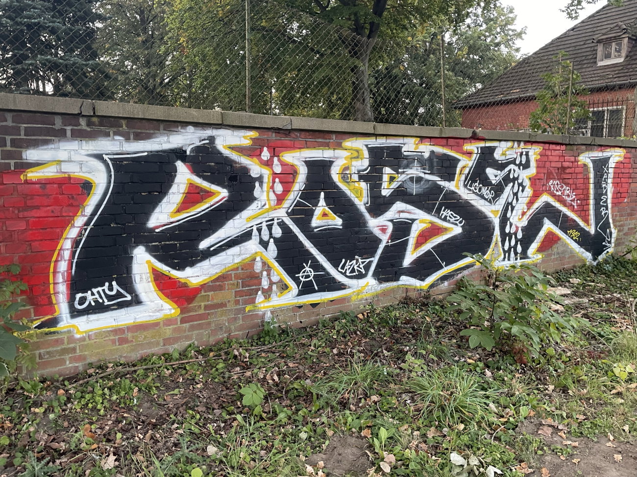 Graffiti Bombing in Gorzow - Photo by Roseumour (2024)