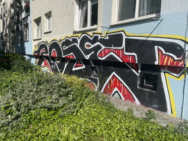 Graffiti Bombing in Gorzow - Photo by Roseumour