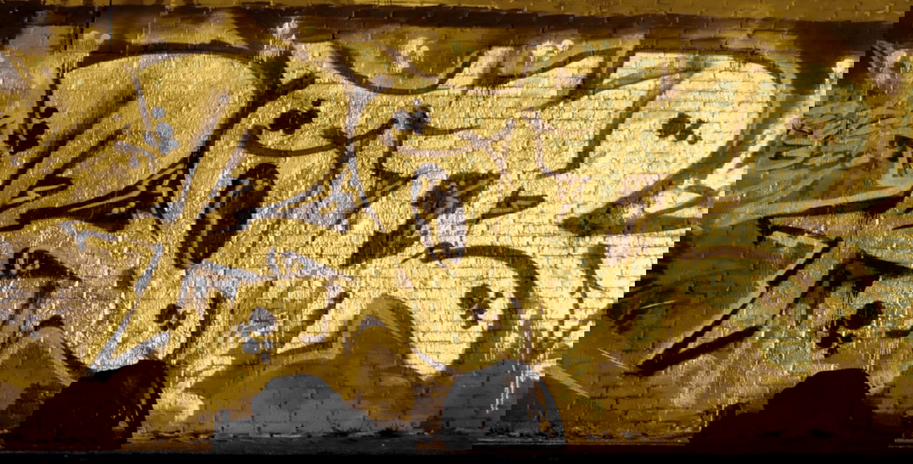 Graffiti Wall - Photo by Roter3000 - Holland, Niederlande, Roter (2013)