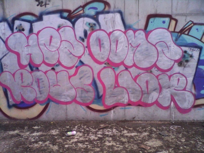 Graffiti Bombing - Photo by Rous (2013)