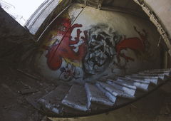 Photo #73711 by tostkopf