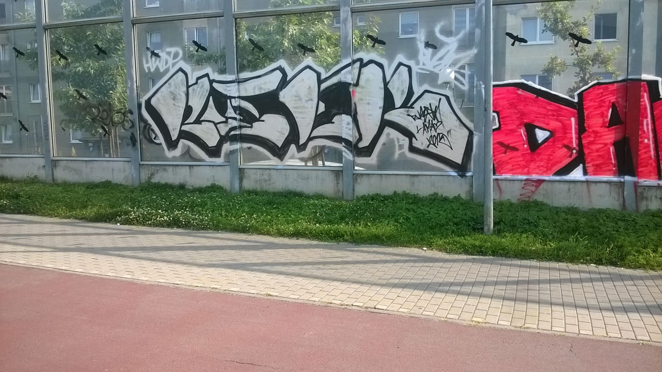 Graffiti Bombing - Photo by Rozpierdolone