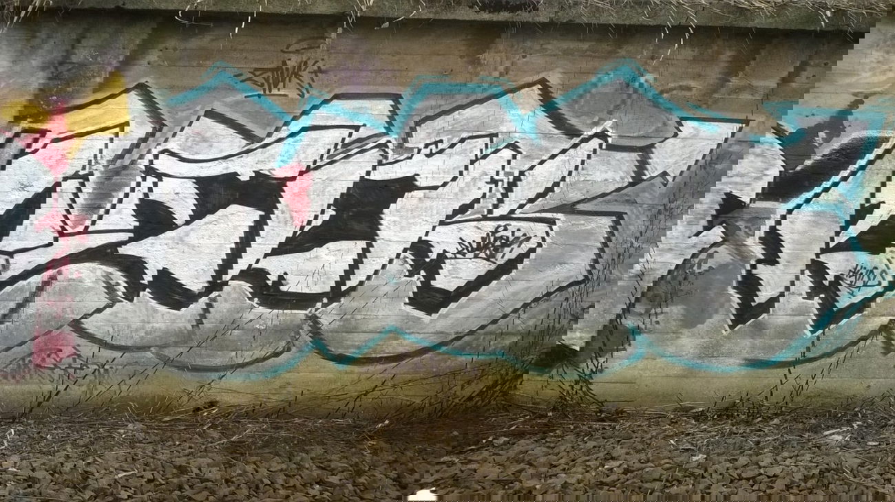 Graffiti Bombing - Photo by Rozpierdolone