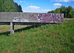 Photo #27423 by Tehsone