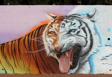 Graffiti in Catania, Misterbianco, Corso Carlo Marx - Photo by Ruc3 - Ruce, AnimusMammut, Catania (2015)