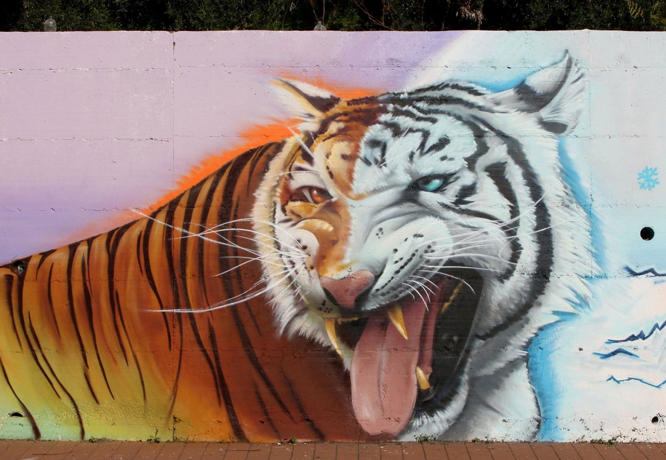 Graffiti in Catania, Misterbianco, Corso Carlo Marx - Photo by Ruc3 - Ruce, AnimusMammut, Catania (2015)