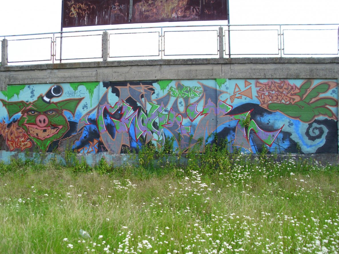 Graffiti Wall - Photo by Ruchae