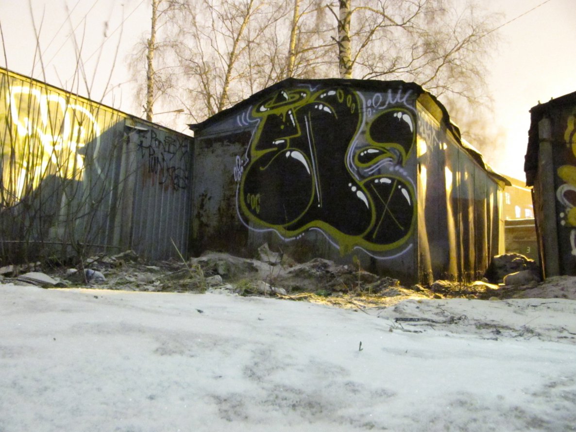 Graffiti Bombing in Russia - Photo by RudeR - Edur, trainline (2014)