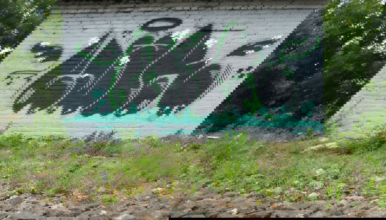 Graffiti Wall - Photo by RudeR - edur, Y-line (2014)