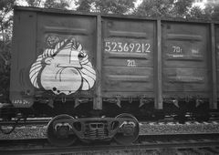 Photo #109872 by Fuckt