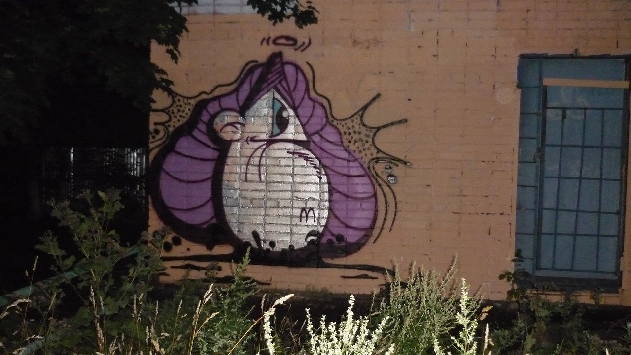 Graffiti Wall - Photo by RudeR - Edur (2014)