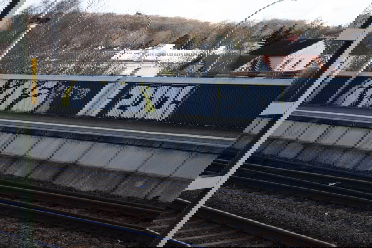 Graffiti Bombing - Photo by Rudi81 - Gifs, 2010 (2014)