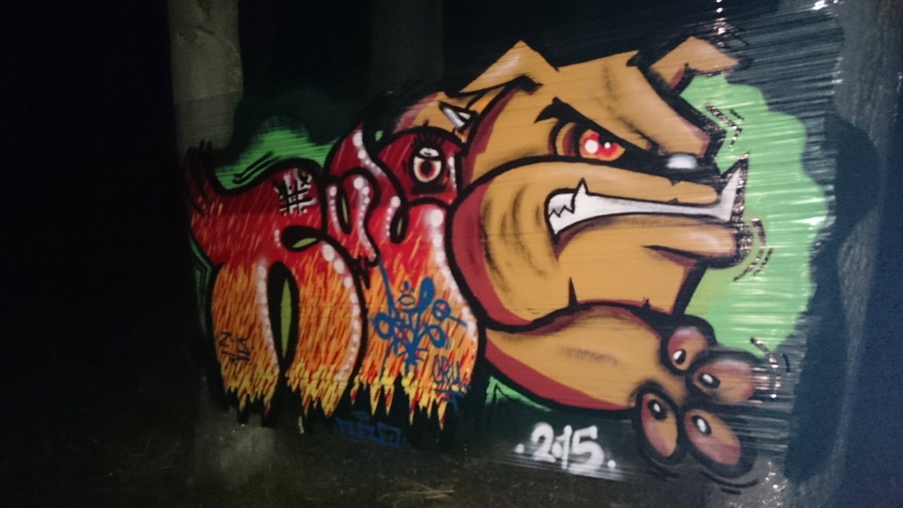 Graffiti Wall - Photo by RuloCrew - Rulo, RuloCrew, Dog