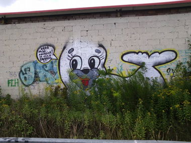 Graffiti Bombing - Photo by RuloCrew - Rulo, RuloCrew, Chari