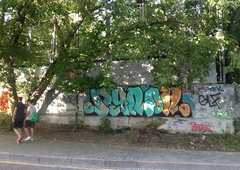 Photo #17358 by baot