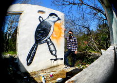 Photo #17178 by edding3000