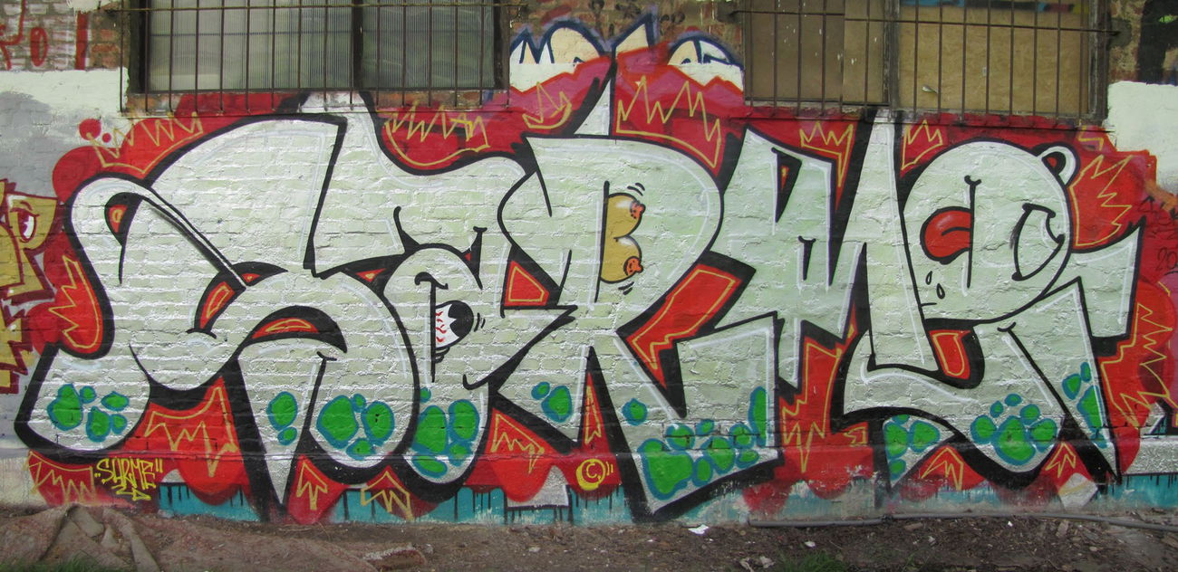 Graffiti Bombing - Photo by Rvacka - Sarme