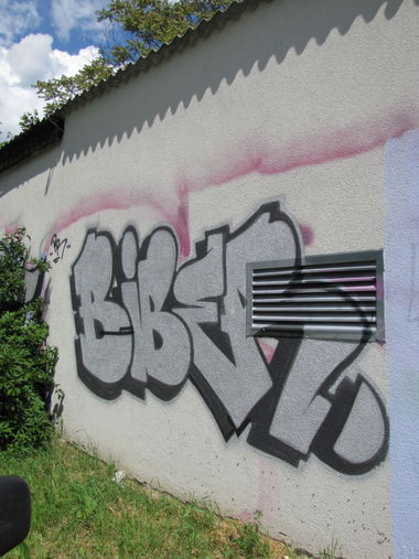 Graffiti Bombing - Photo by Rvacka - Biber