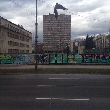 Graffiti Bombing - Photo by Rvacka - hbid, hacf