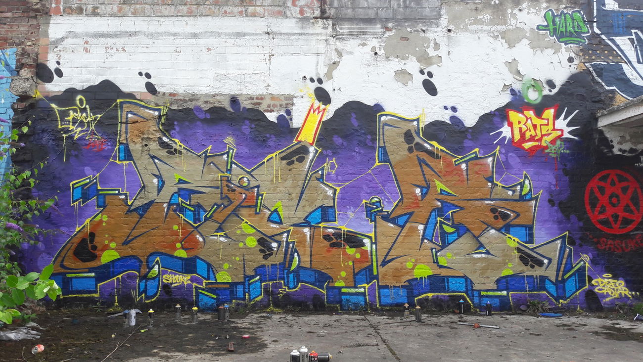 Graffiti Wall in Belgique - Photo by RyckWane - RyckWane, RFK, SMS (2017)