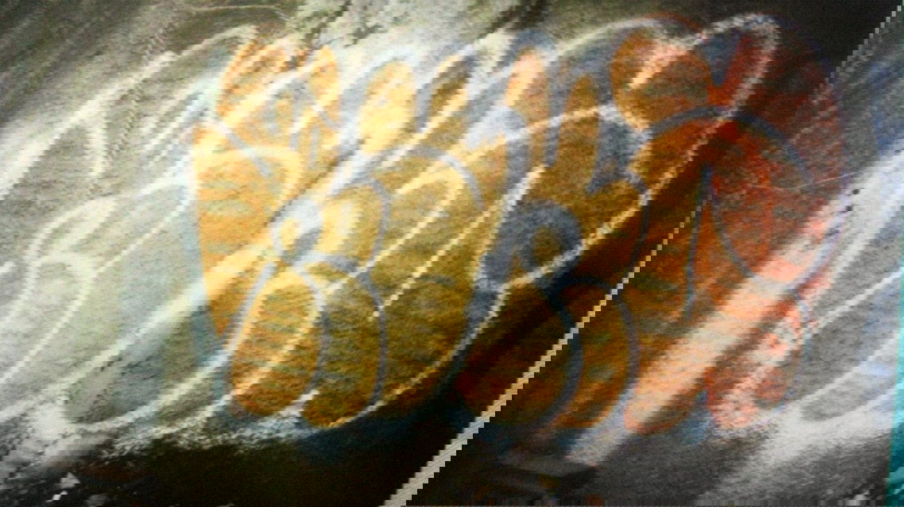 Graffiti Bombing in Sochi - Photo by Rykz - rykz, sochi, nr (2013)