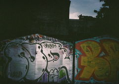 Photo #153972 by TagHagel