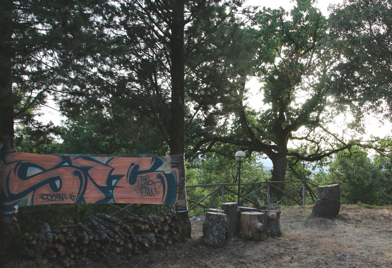 Graffiti Wall - Photo by SACK1 - forest, vacation, italy