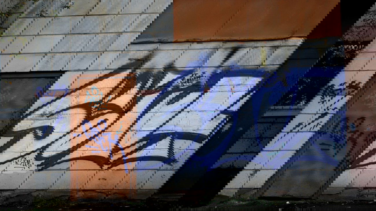 Graffiti Wall - Photo by SALU7 - salut (2012)